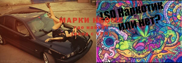 тгк Каменка
