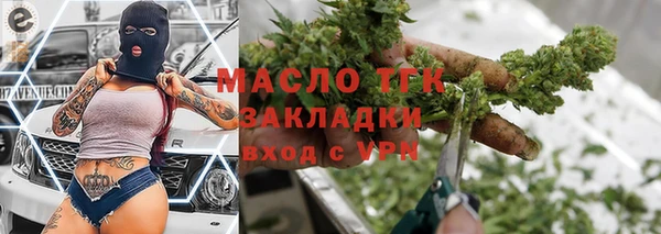 тгк Каменка