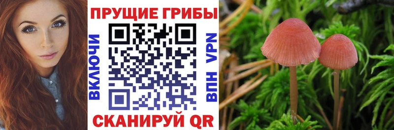 Псилоцибиновые грибы ЛСД  Любим 